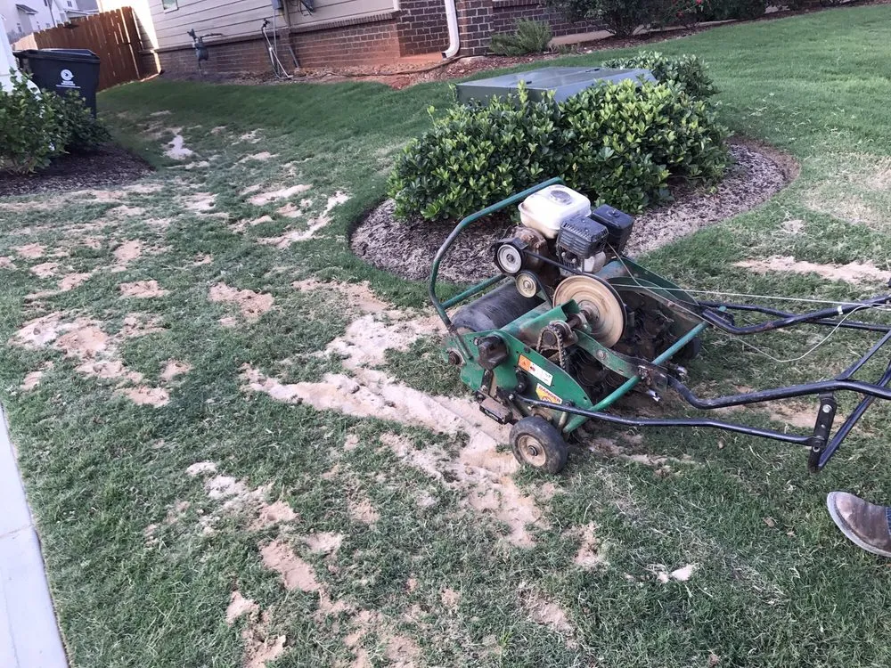 Professional lawn care service for homes across Greer, SC - All Seasons Tree & Landscape