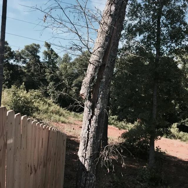 Trusted residential landscaping experts serving Greer, SC - All Seasons Tree & Landscape