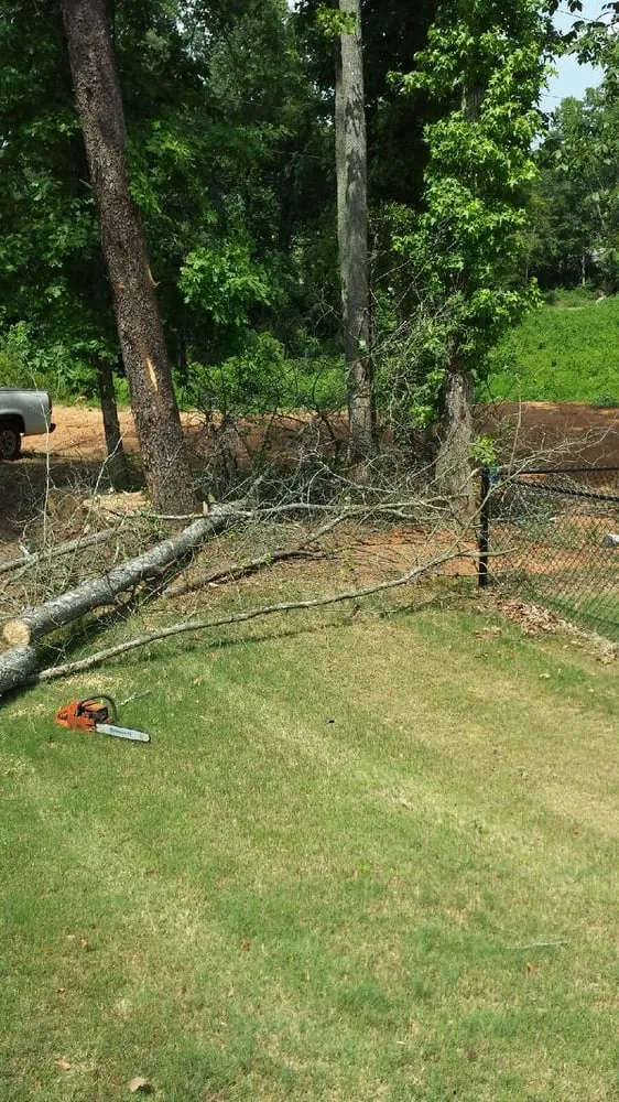 Reliable residential landscaping in Greer, SC - All Seasons Tree & Landscape