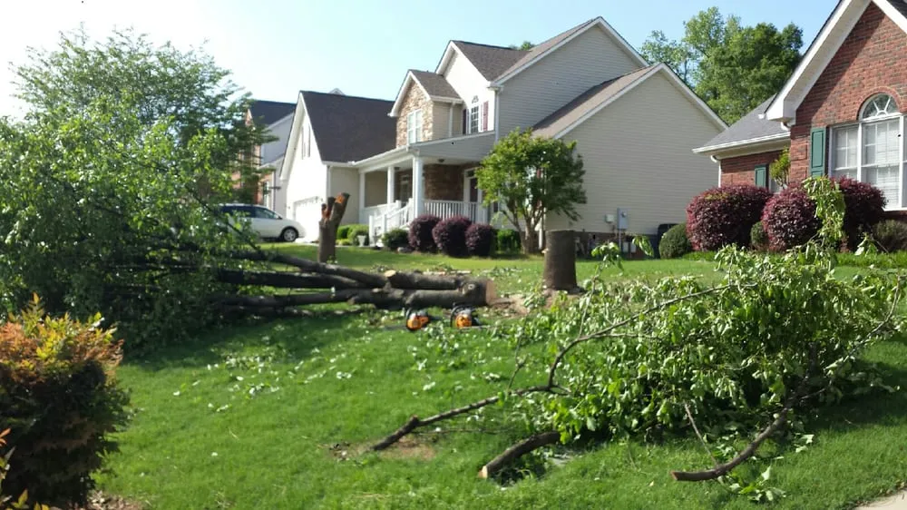 Affordable landscape installation experts serving Greer, SC - All Seasons Tree & Landscape