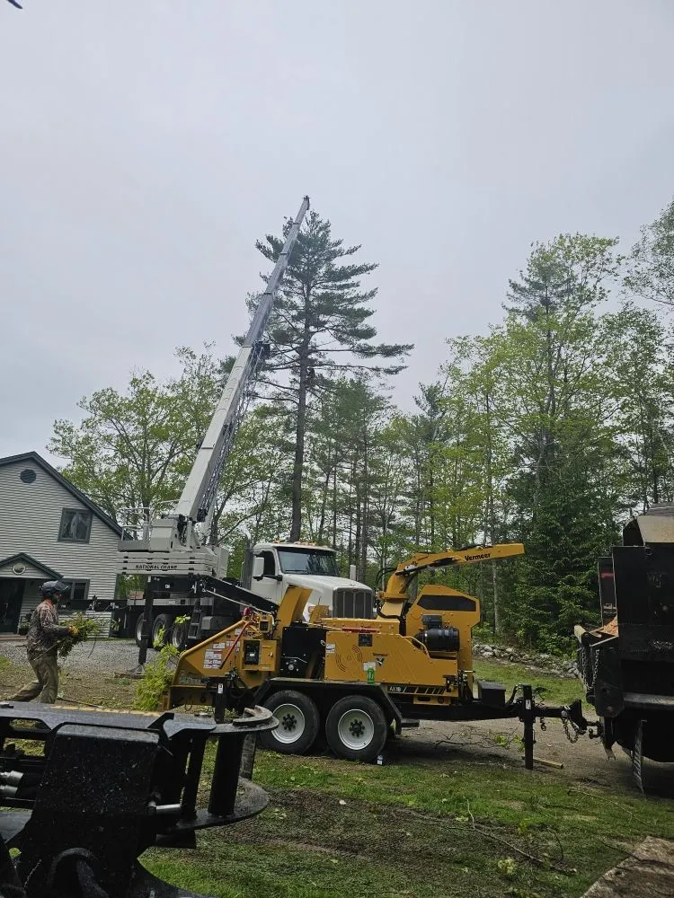 Trusted garden landscaping in Belgrade, ME by All Seasons Tree Service