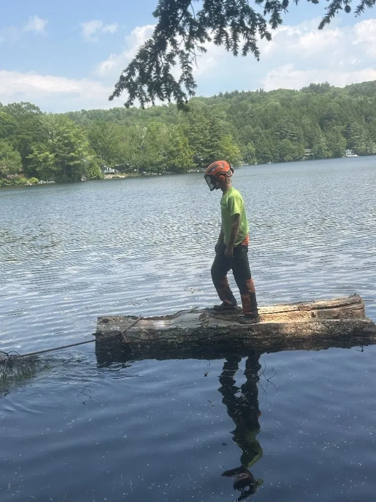 Trusted garden landscaping in Belgrade, ME - All Seasons Tree Service