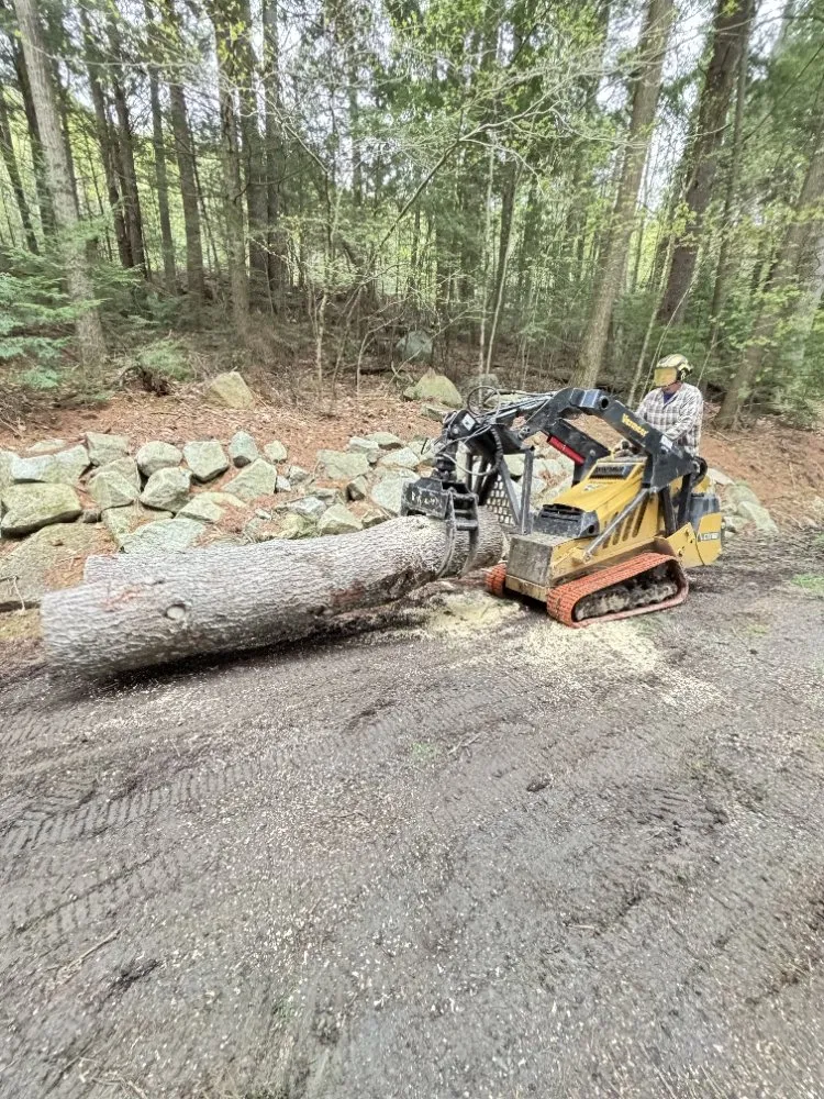 Top-rated landscaping services in Belgrade, ME - All Seasons Tree Service