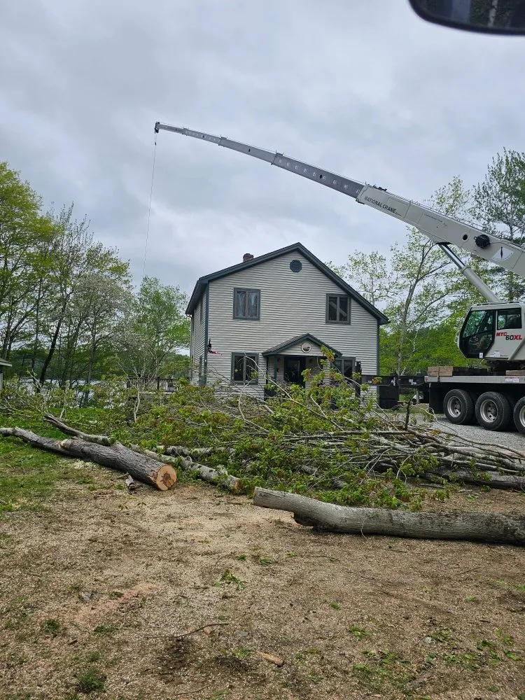 Professional landscaping services experts serving Belgrade, ME - All Seasons Tree Service