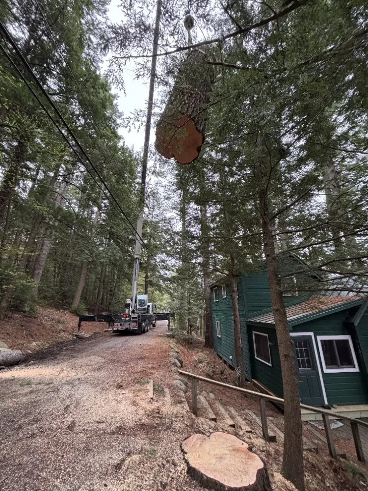 Professional residential landscaping experts serving Belgrade, ME - All Seasons Tree Service