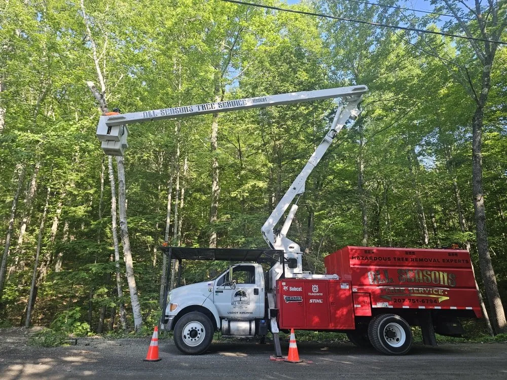 Affordable yard cleanup service for homes across Belgrade, ME - All Seasons Tree Service