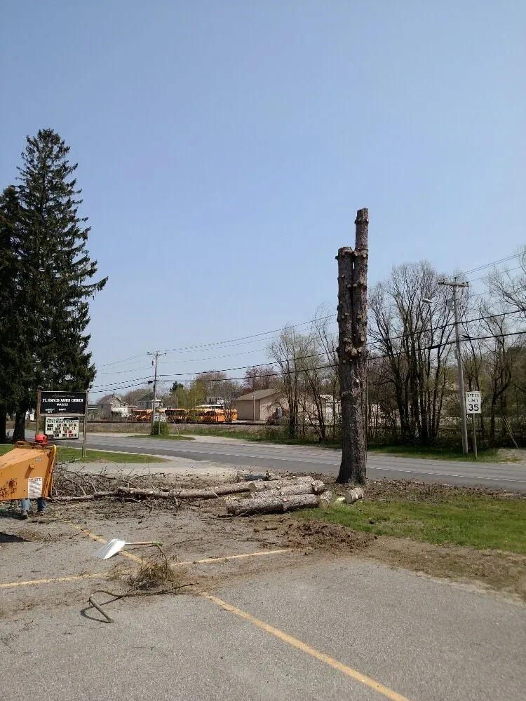 Expert yard cleanup service with custom design in Belgrade, ME by All Seasons Tree Service