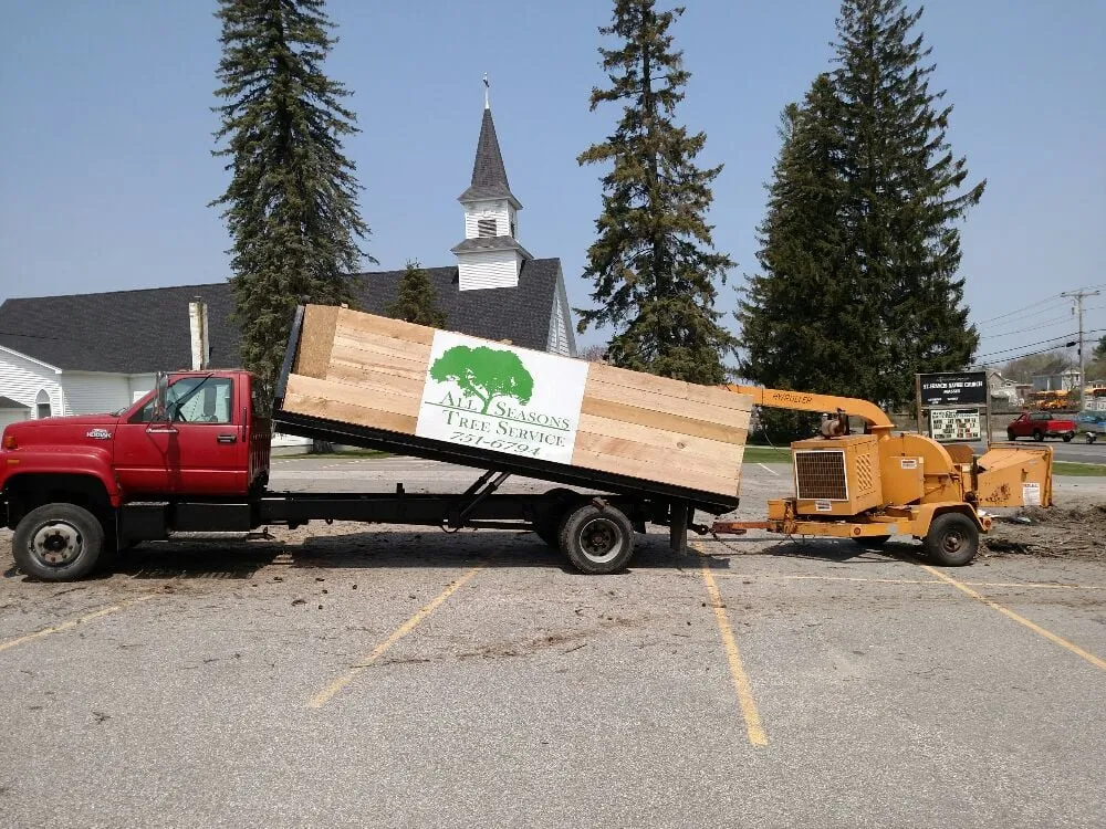 Trusted yard maintenance in Belgrade, ME by All Seasons Tree Service