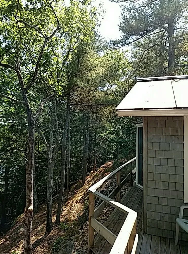 Affordable lawn care service experts serving Belgrade, ME - All Seasons Tree Service