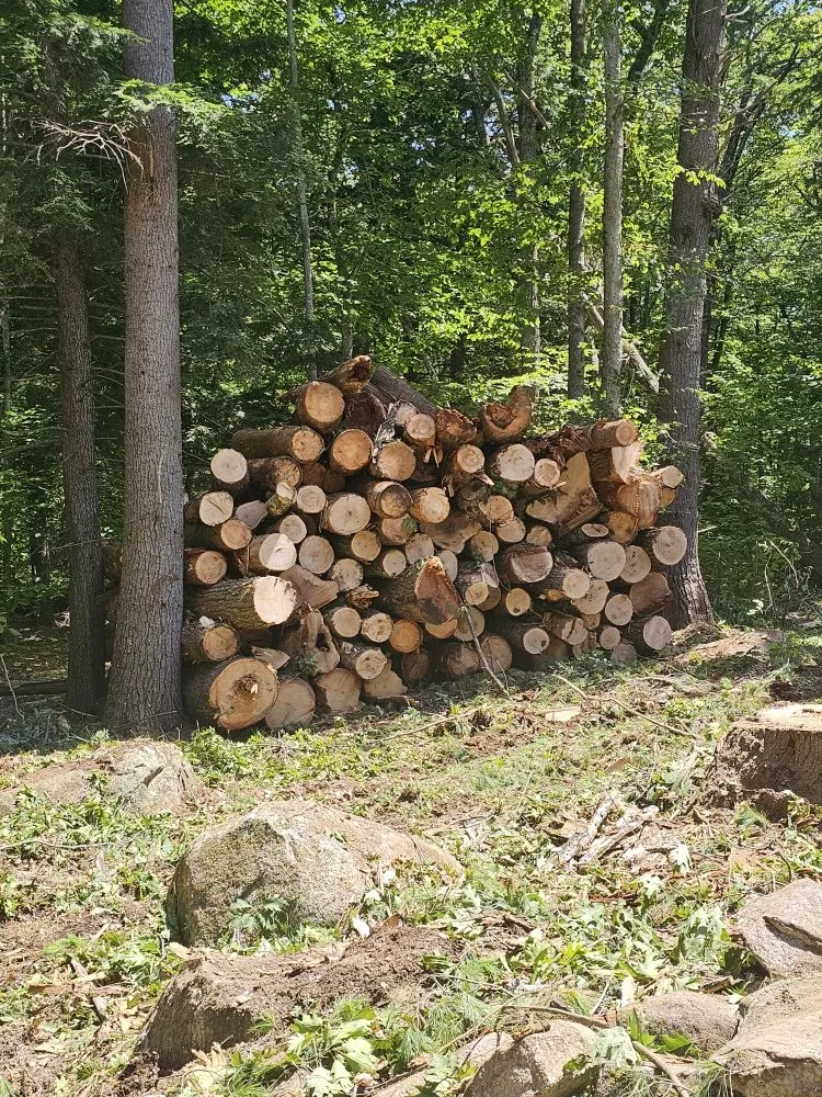 Trusted landscape installation experts serving Belgrade, ME - All Seasons Tree Service