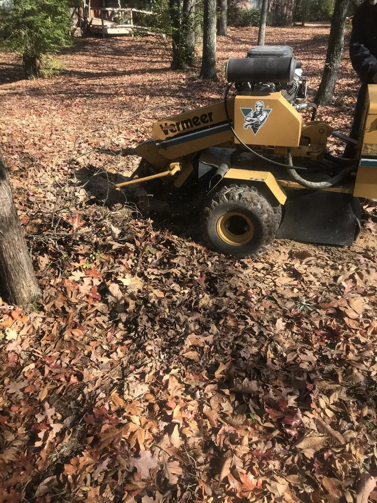 Custom landscaping services for beautiful yards in Fayetteville, AR by All Seasons Tree Service of NWA