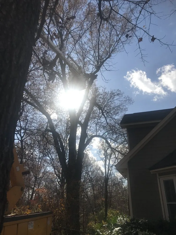 Professional residential landscaping for year-round maintenance across Fayetteville, AR - All Seasons Tree Service of NWA