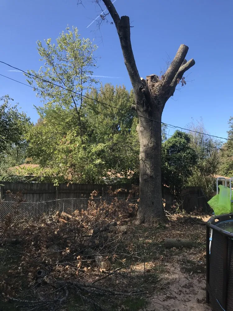 Top-rated garden landscaping with custom design across Fayetteville, AR - All Seasons Tree Service of NWA