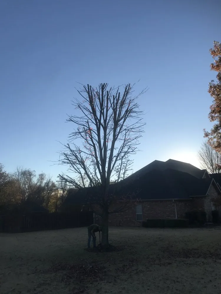 Expert garden landscaping in Fayetteville, AR - All Seasons Tree Service of NWA
