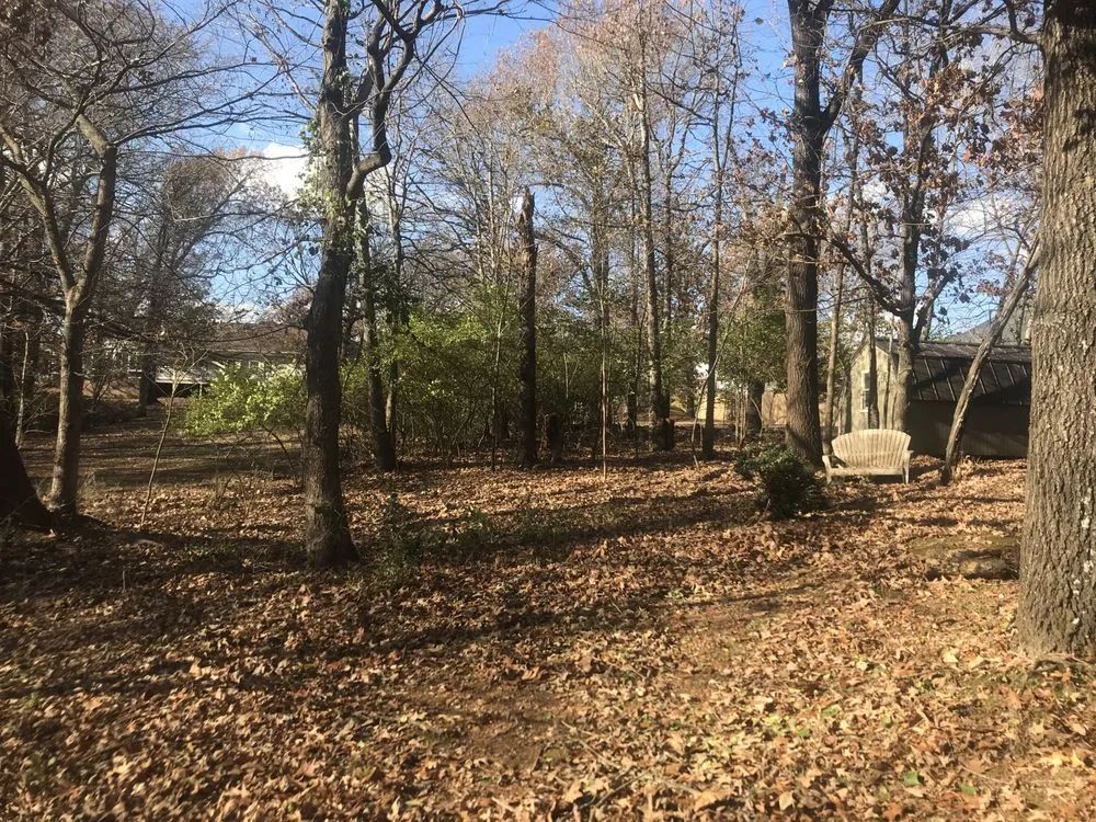 Professional lawn care service for outdoor upgrades across Fayetteville, AR - All Seasons Tree Service of NWA