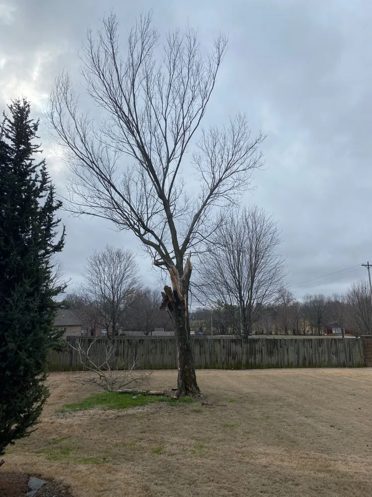 Reliable garden landscaping experts serving Fayetteville, AR - All Seasons Tree Service of NWA