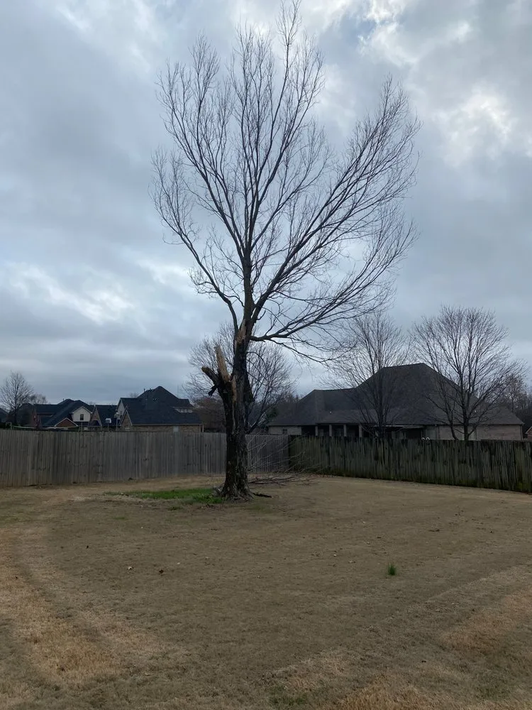 Reliable landscape installation for outdoor upgrades in Fayetteville, AR by All Seasons Tree Service of NWA