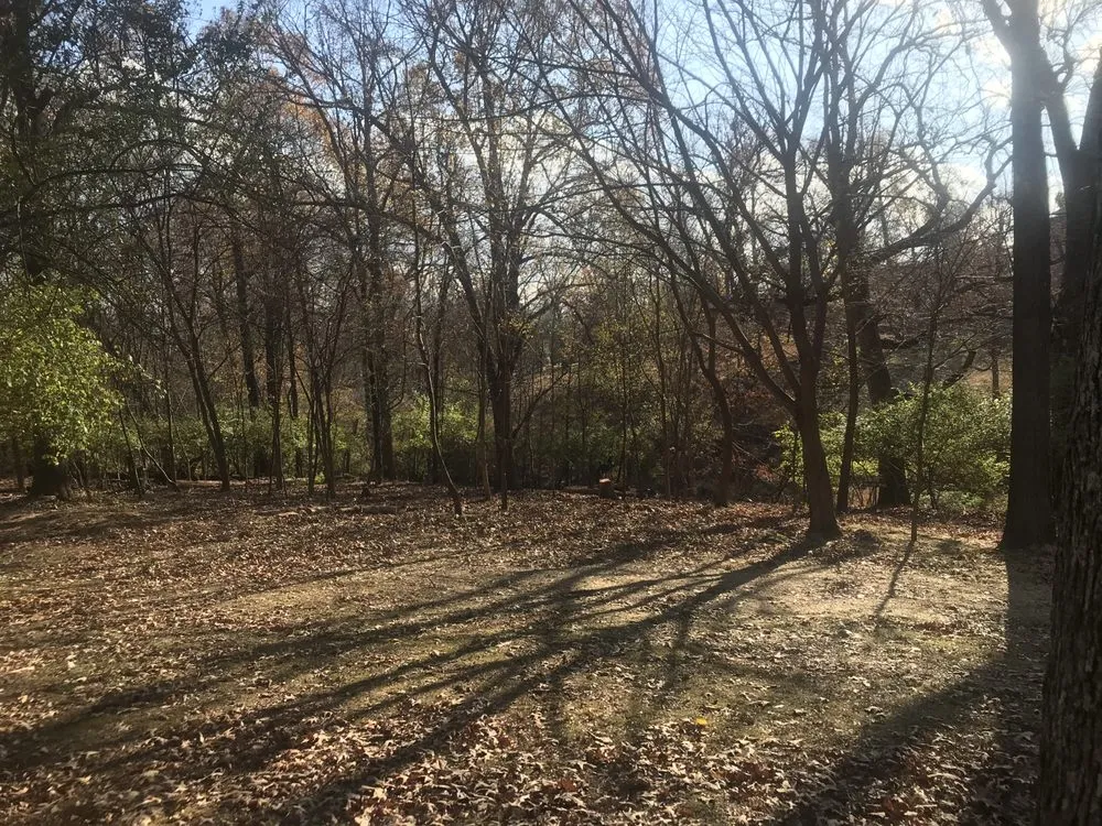 Trusted yard maintenance in Fayetteville, AR by All Seasons Tree Service of NWA