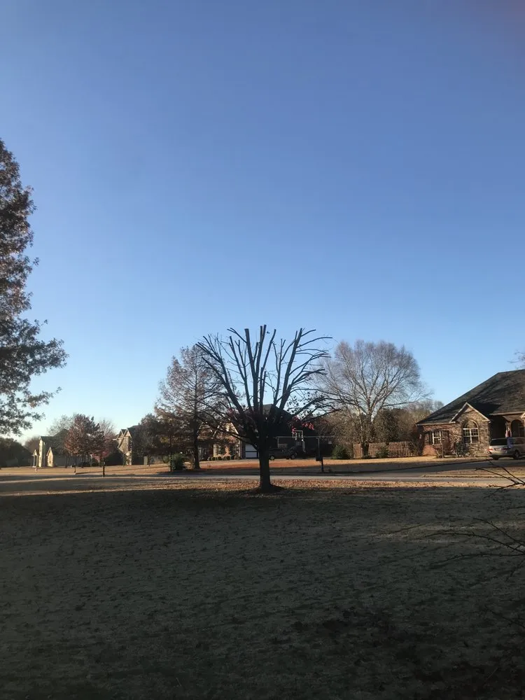 Local garden landscaping for year-round maintenance across Fayetteville, AR - All Seasons Tree Service of NWA