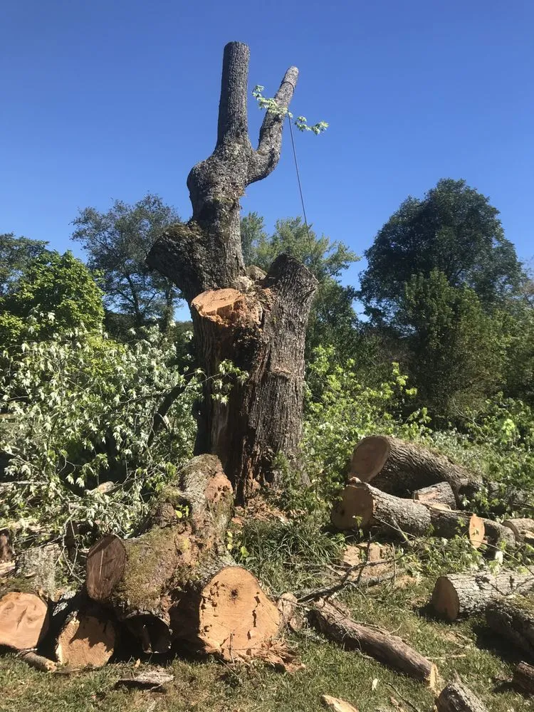 Professional landscape installation in Fayetteville, AR - All Seasons Tree Service of NWA