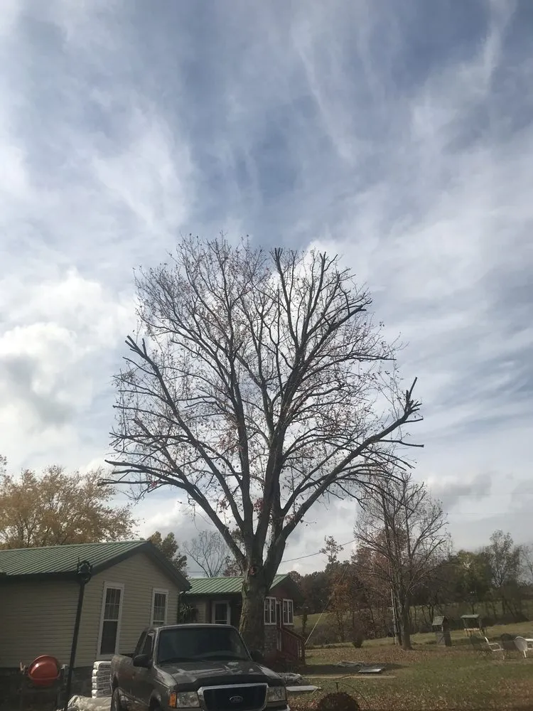 Professional lawn care service in Fayetteville, AR - All Seasons Tree Service of NWA