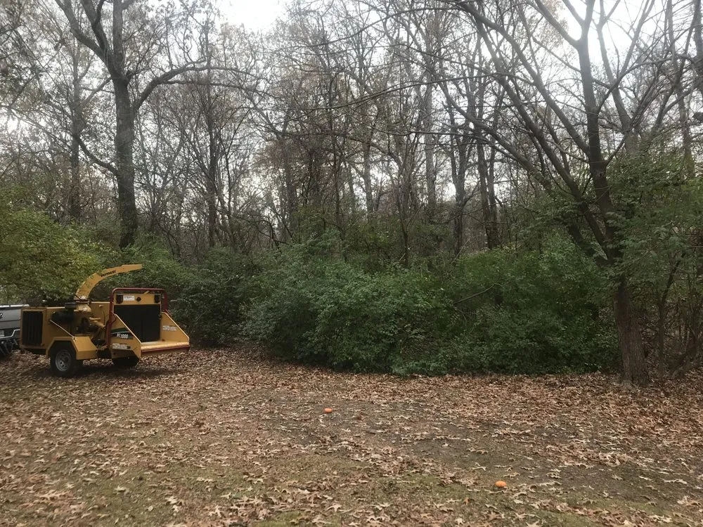 Top-rated landscaping services in Fayetteville, AR by All Seasons Tree Service of NWA