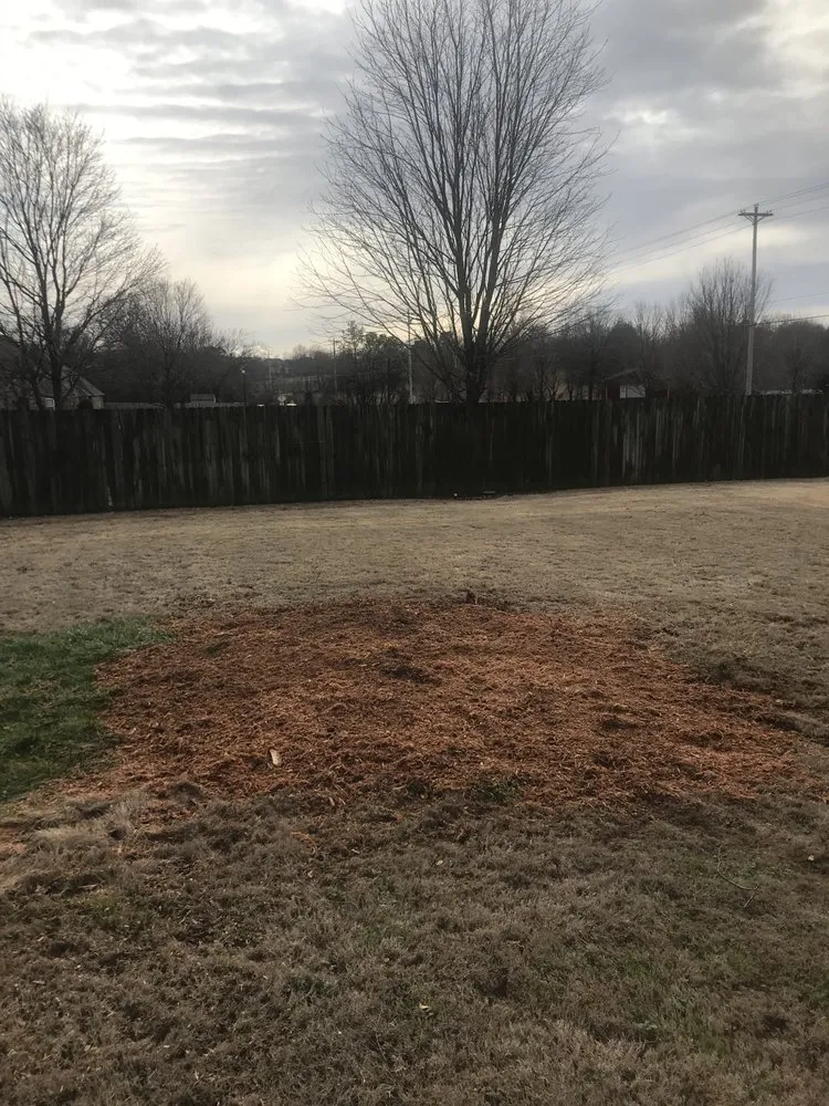 Professional lawn mowing service for beautiful yards in Fayetteville, AR by All Seasons Tree Service of NWA