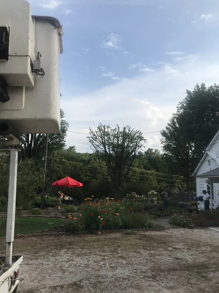 Expert yard cleanup service near you across Fayetteville, AR - All Seasons Tree Service of NWA