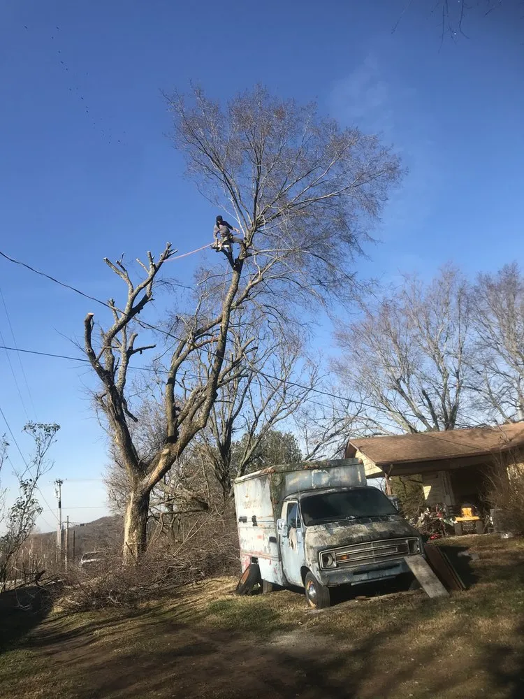 Affordable lawn mowing service for beautiful yards in Fayetteville, AR by All Seasons Tree Service of NWA