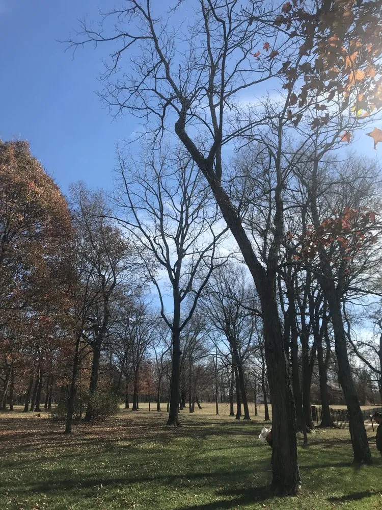 Expert lawn care service for homes across Fayetteville, AR - All Seasons Tree Service of NWA