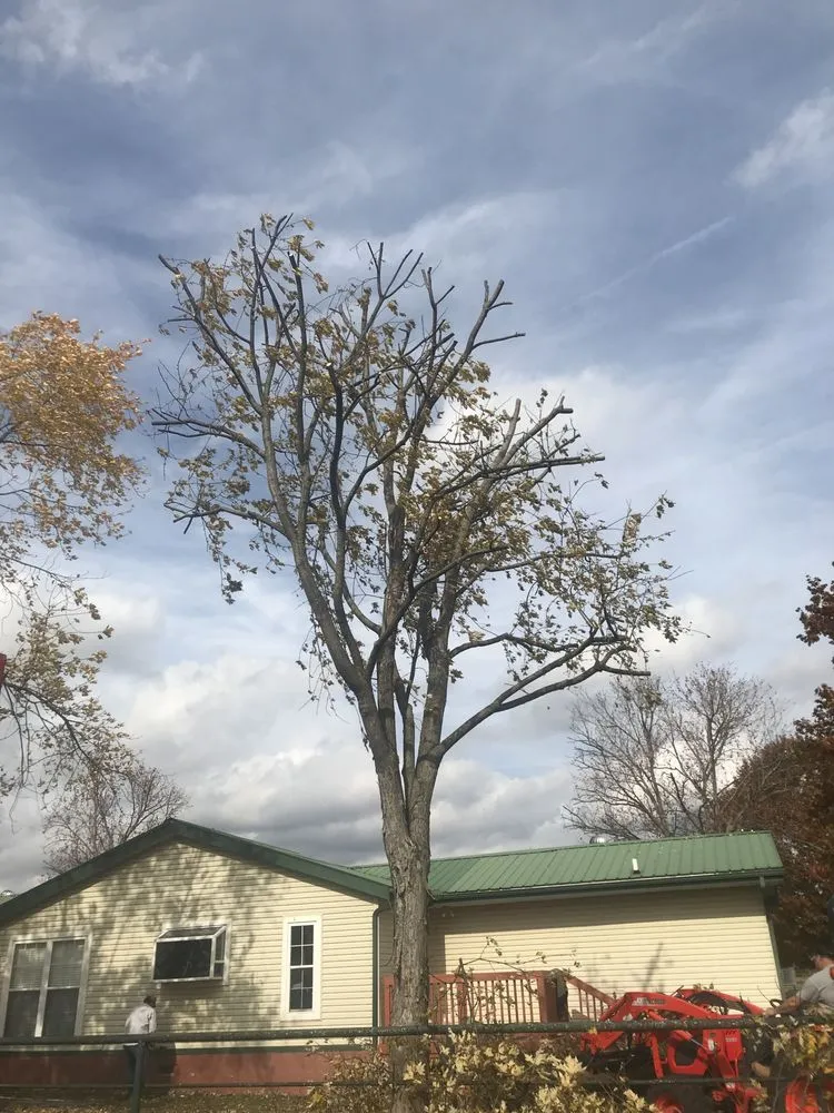Professional residential landscaping in Fayetteville, AR - All Seasons Tree Service of NWA