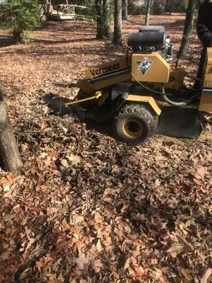 All Seasons Tree Service of NWA Logo