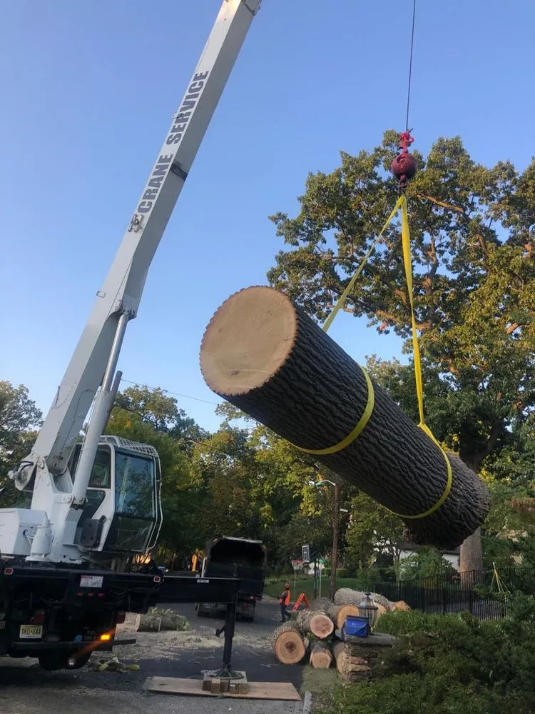 Top-rated yard cleanup service in Oakland, NJ - All Seasons Tree Services