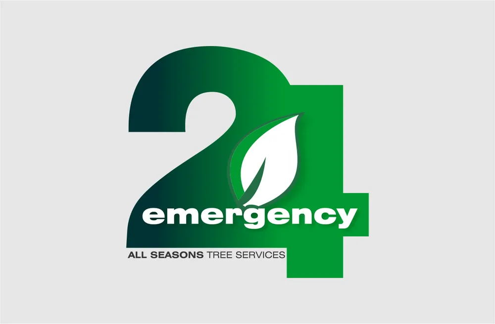 Custom landscaping services experts serving Oakland, NJ - All Seasons Tree Services