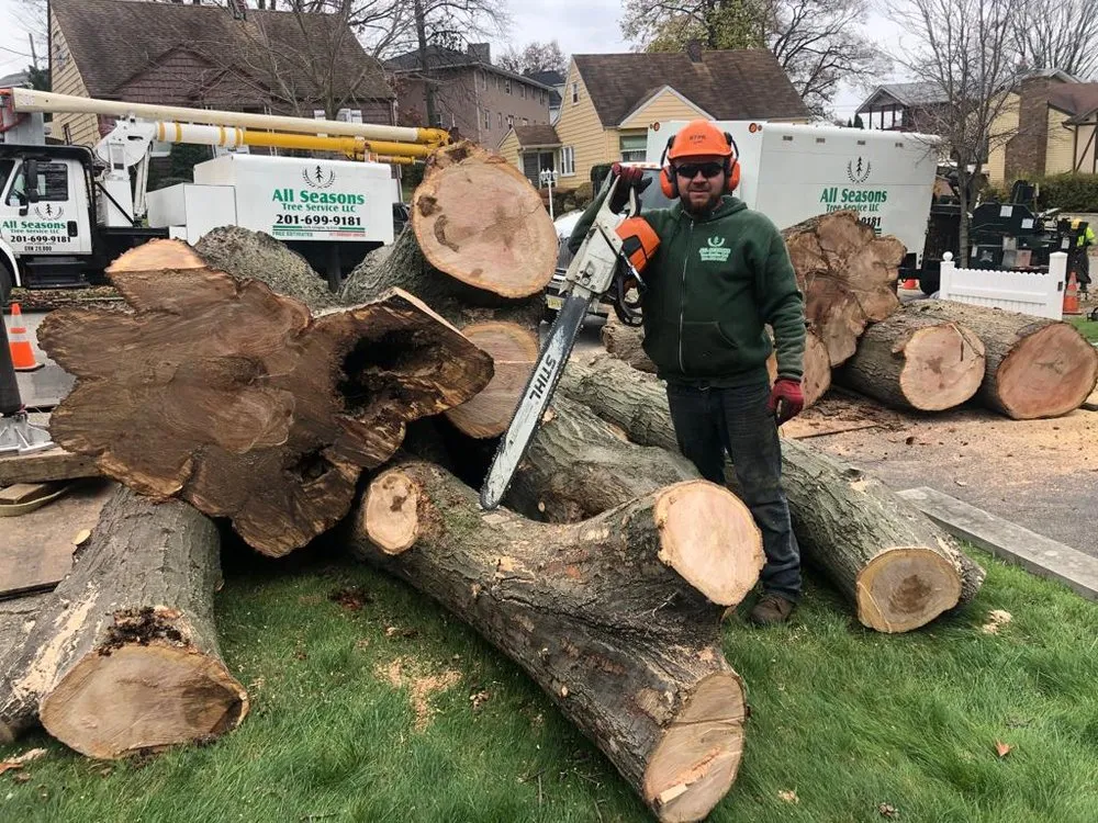 Custom landscape installation for year-round maintenance in Oakland, NJ by All Seasons Tree Services