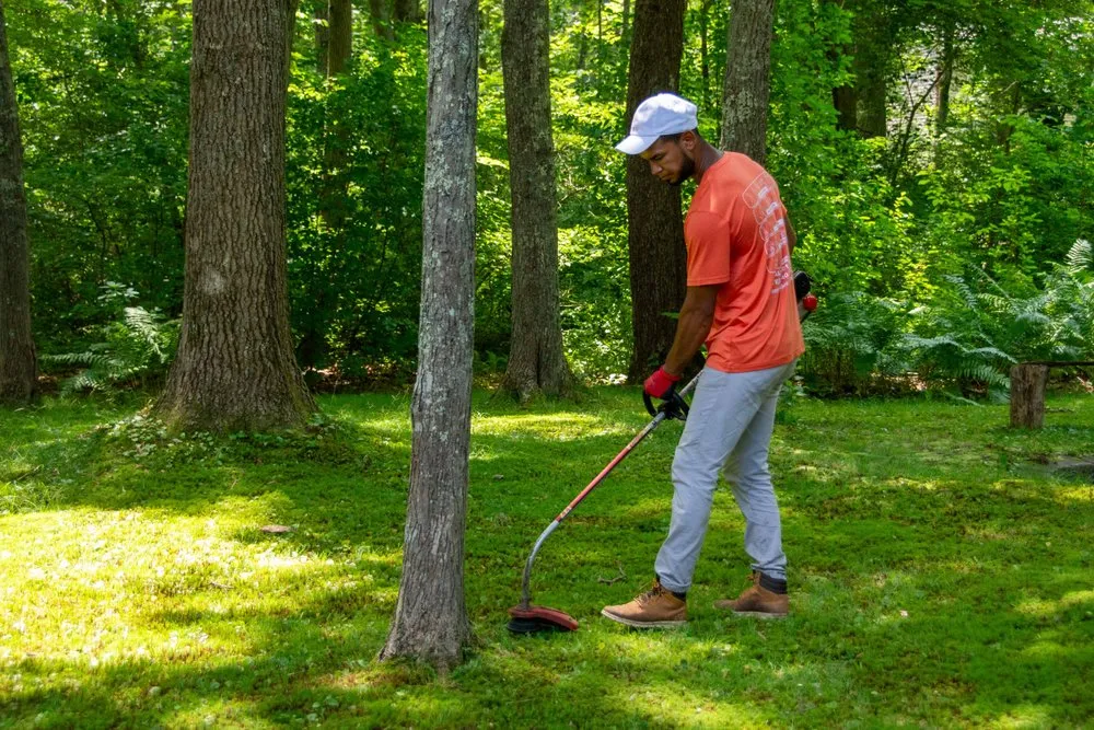 Professional residential landscaping for residential properties in Johnston, RI by All Service Labor Solutions