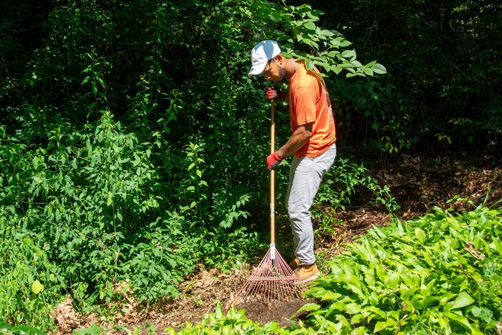 Custom landscape installation for residential properties in Johnston, RI by All Service Labor Solutions