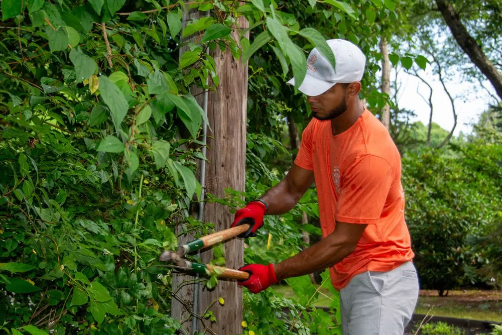 Trusted outdoor landscaping for residential properties across Johnston, RI - All Service Labor Solutions