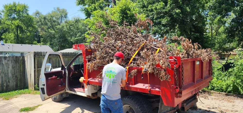 Expert residential landscaping experts serving Terre Haute, IN - All Service Lawn Care