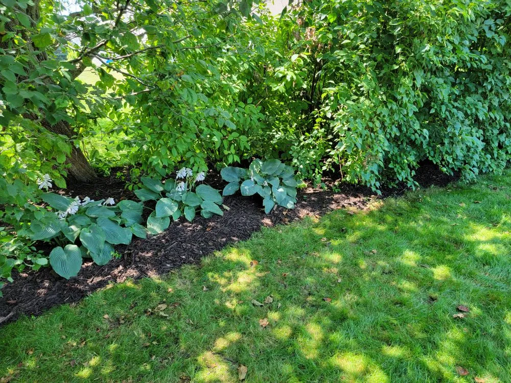 Local residential landscaping for residential properties in De Pere, WI by All services & Landscaping