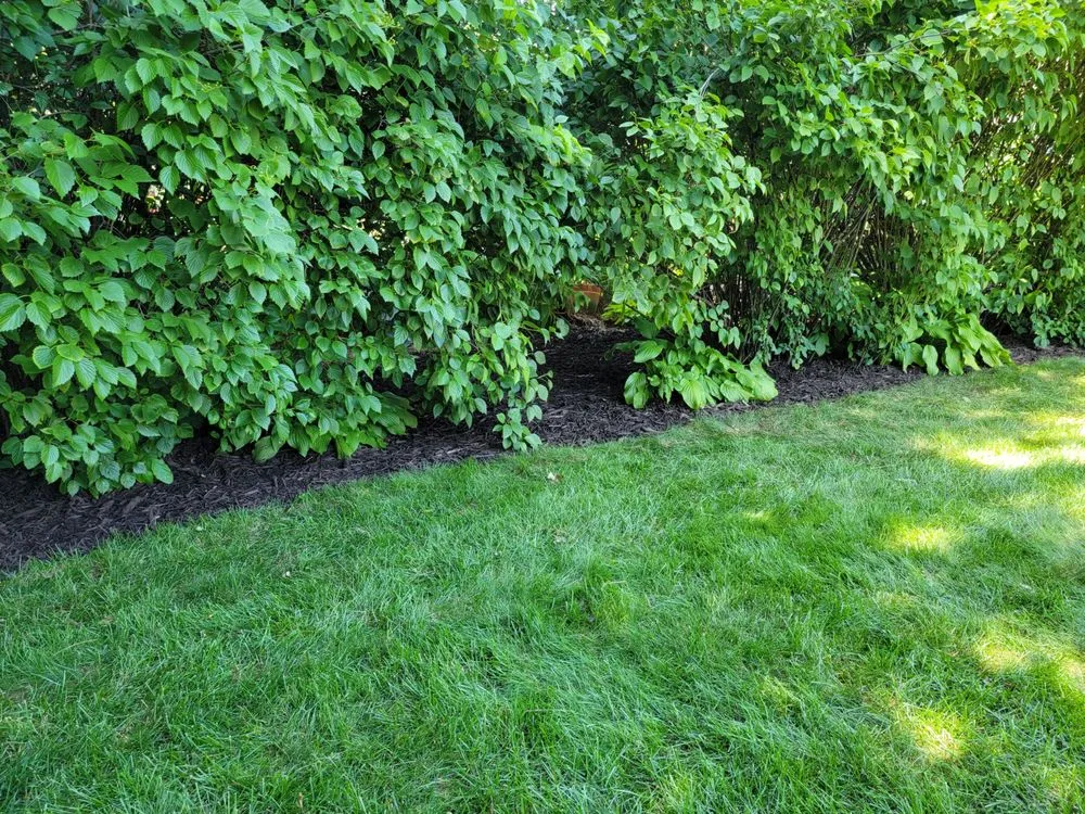 Professional landscape installation in De Pere, WI - All services & Landscaping