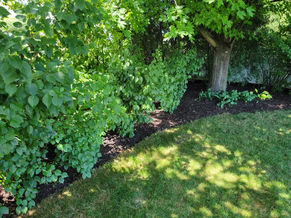 Expert outdoor landscaping for year-round maintenance across De Pere, WI - All services & Landscaping