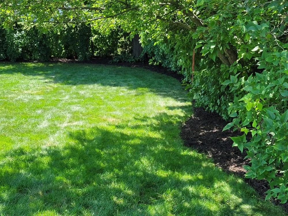 Reliable landscaping services in De Pere, WI - All services & Landscaping