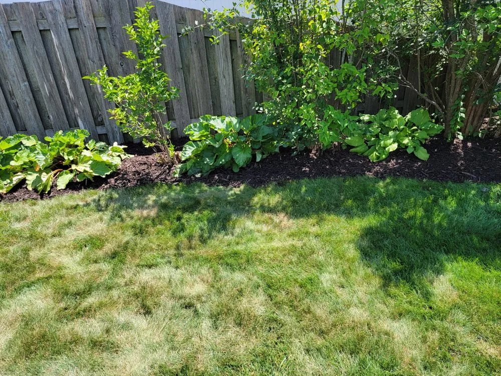 Expert yard cleanup service with custom design in De Pere, WI by All services & Landscaping