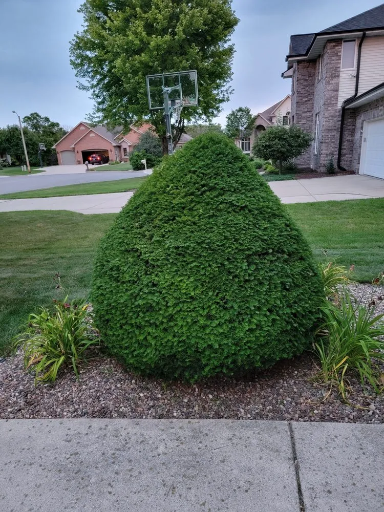 Local landscape installation in De Pere, WI by All services & Landscaping