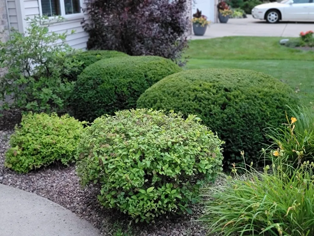 Professional yard cleanup service for residential properties across De Pere, WI - All services & Landscaping