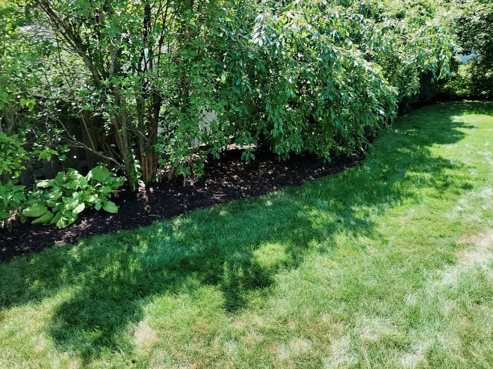 Local lawn care service in De Pere, WI - All services & Landscaping