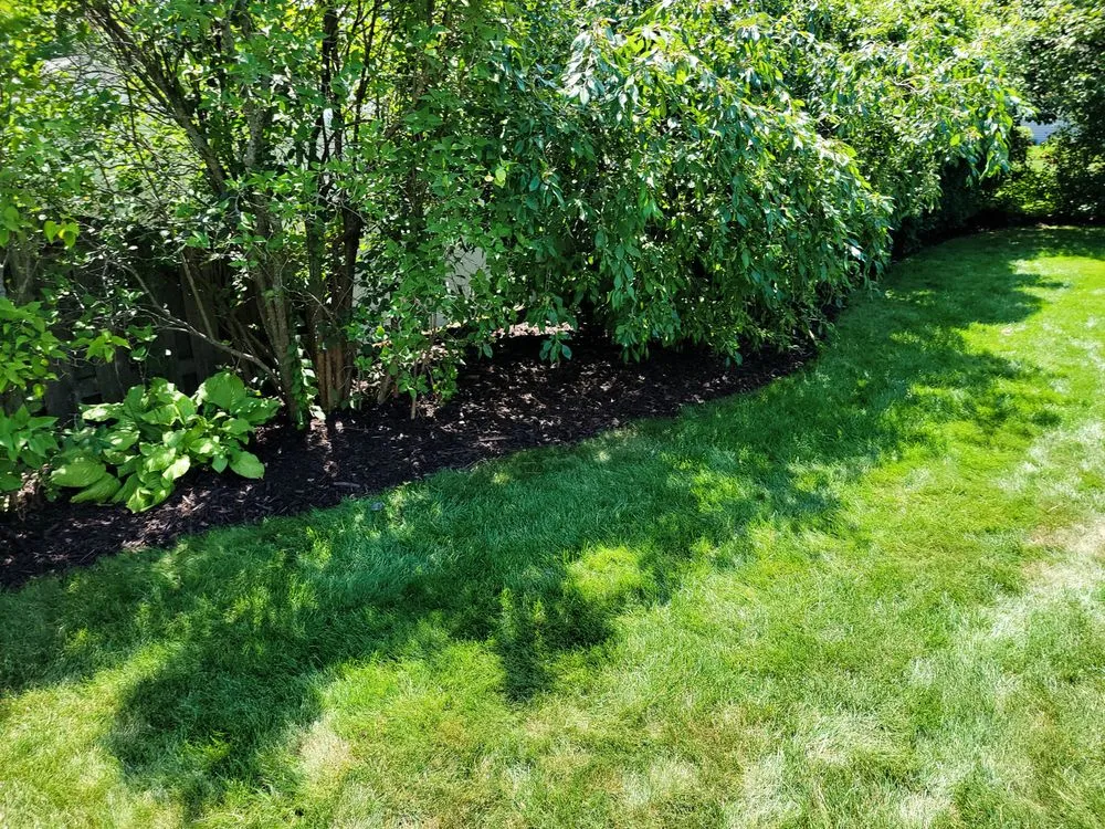 Expert landscape installation experts serving De Pere, WI - All services & Landscaping