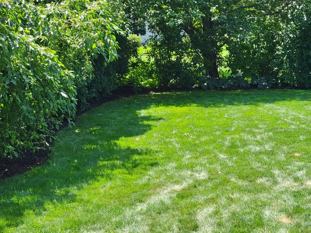 Expert yard maintenance for residential properties across De Pere, WI - All services & Landscaping