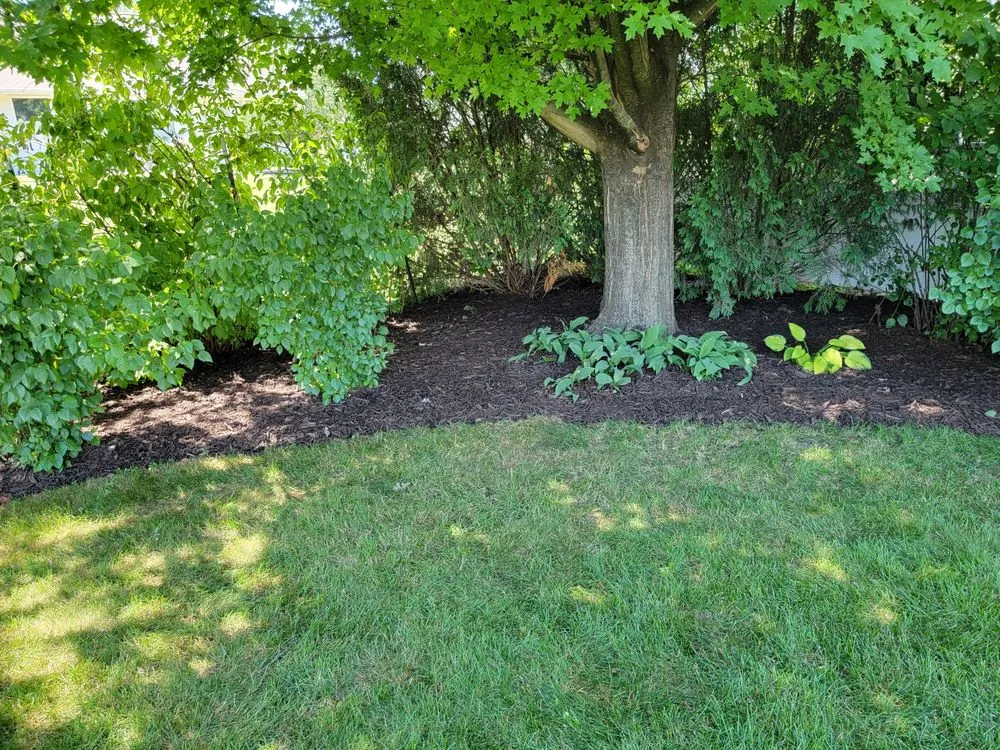 Local garden landscaping for beautiful yards in De Pere, WI by All services & Landscaping
